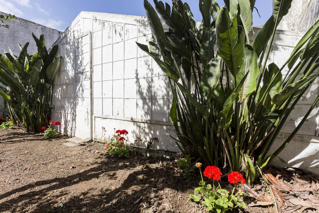 הוילה Ponta Delgada Family House Garden חדר תמונה